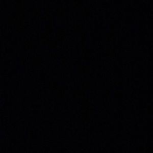 Meet your Posher, Dion